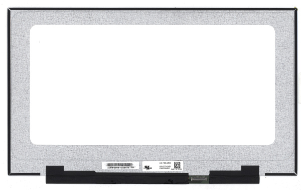 Матрица LQ173M1JW03