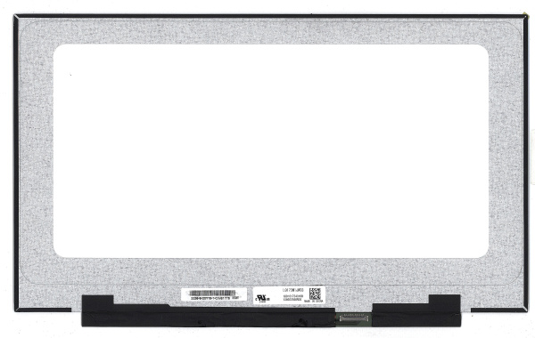 Матрица LQ173M1JW03