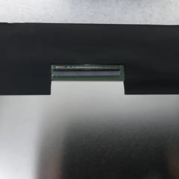 ЖК дисплей 10,1" EV101WUM-N20