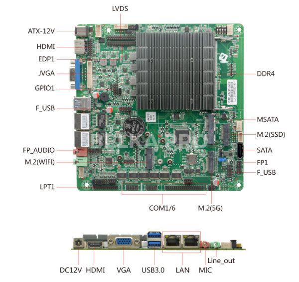 00-00026646_1 00-00026646_1