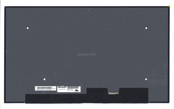 Матрица LQ173M1JW12