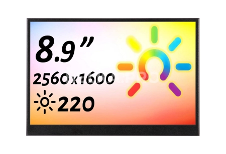 Монитор 8,9" DS089WM1-56S5-H