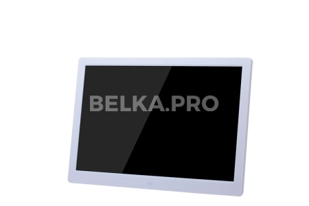 Монитор с плеером 15,6" DP1561