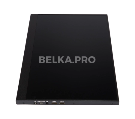 Монитор 15,6" DS156WM1-90S5-H