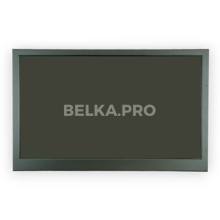 Монитор 15,6" DS156WM1S-81S1-PH