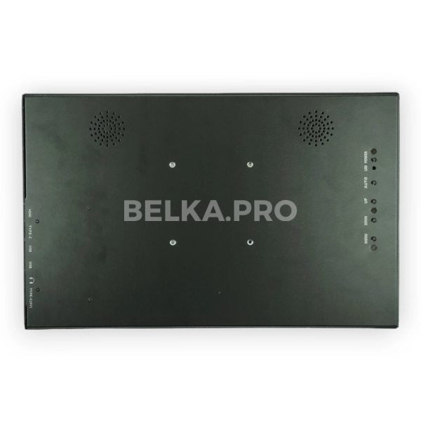 Монитор 15,6" DS156WM1SС-90H5-HС