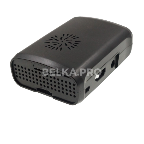 Корпус Raspberry Pi type I