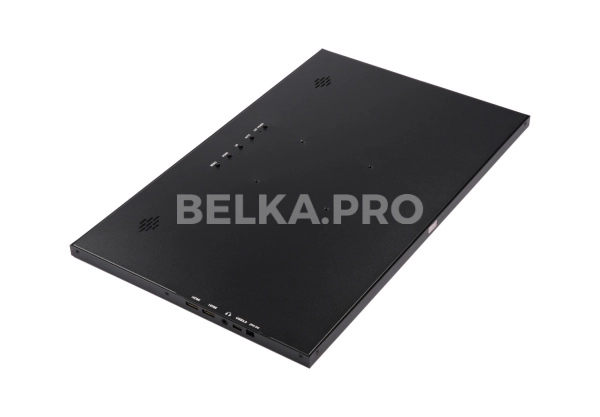 Монитор 17,3" DS173WM1-90S5-H
