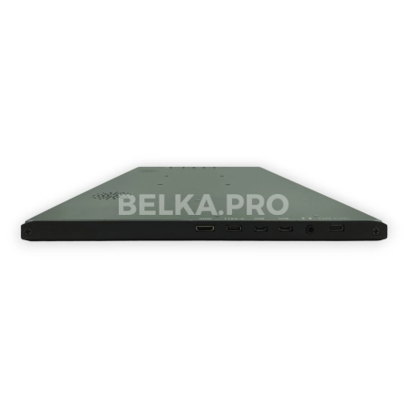 Монитор 15,6" DS156WM1SС-90H5-HС