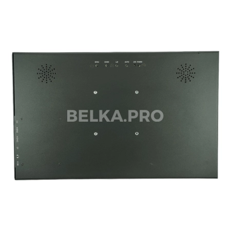Монитор 15,6" DS156WM1S-81S1-PH