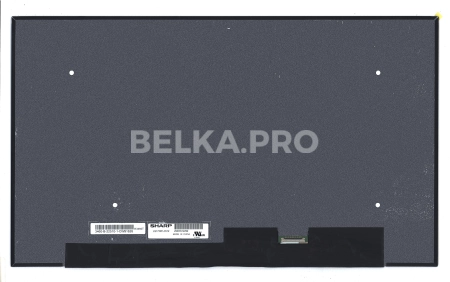 ЖК дисплей 17,3" LQ173M1JW12