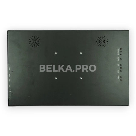 Монитор 15,6" DS156WM1SС-90H5-HС