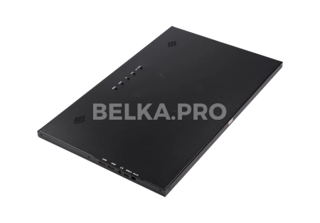 Монитор 17,3" DS173WM1-90S5-H