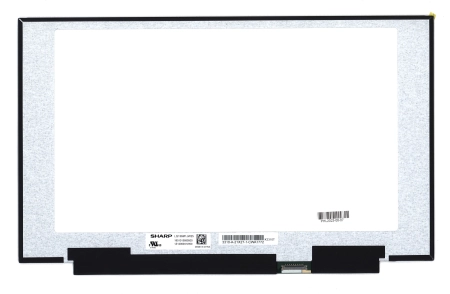 ЖК дисплей 15,6" LQ156M1JW25