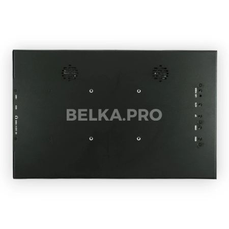 Монитор 13,3" DS133WM1S-90S5-H