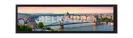 Монитор 8,8" DS088UM1-94H5-H