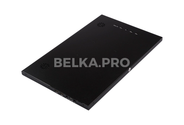 Монитор 15,6" DS156WM1-90S5-H