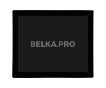 Встраиваемый монитор 19" PZ190SKK6-20S1-HDV