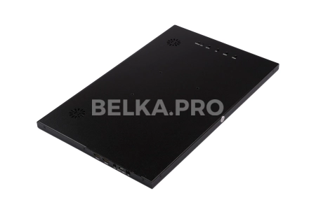 Монитор 15,6" DS156WM1-90S5-H